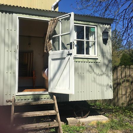 Posh Huts Farmstay Falstone 외부 사진