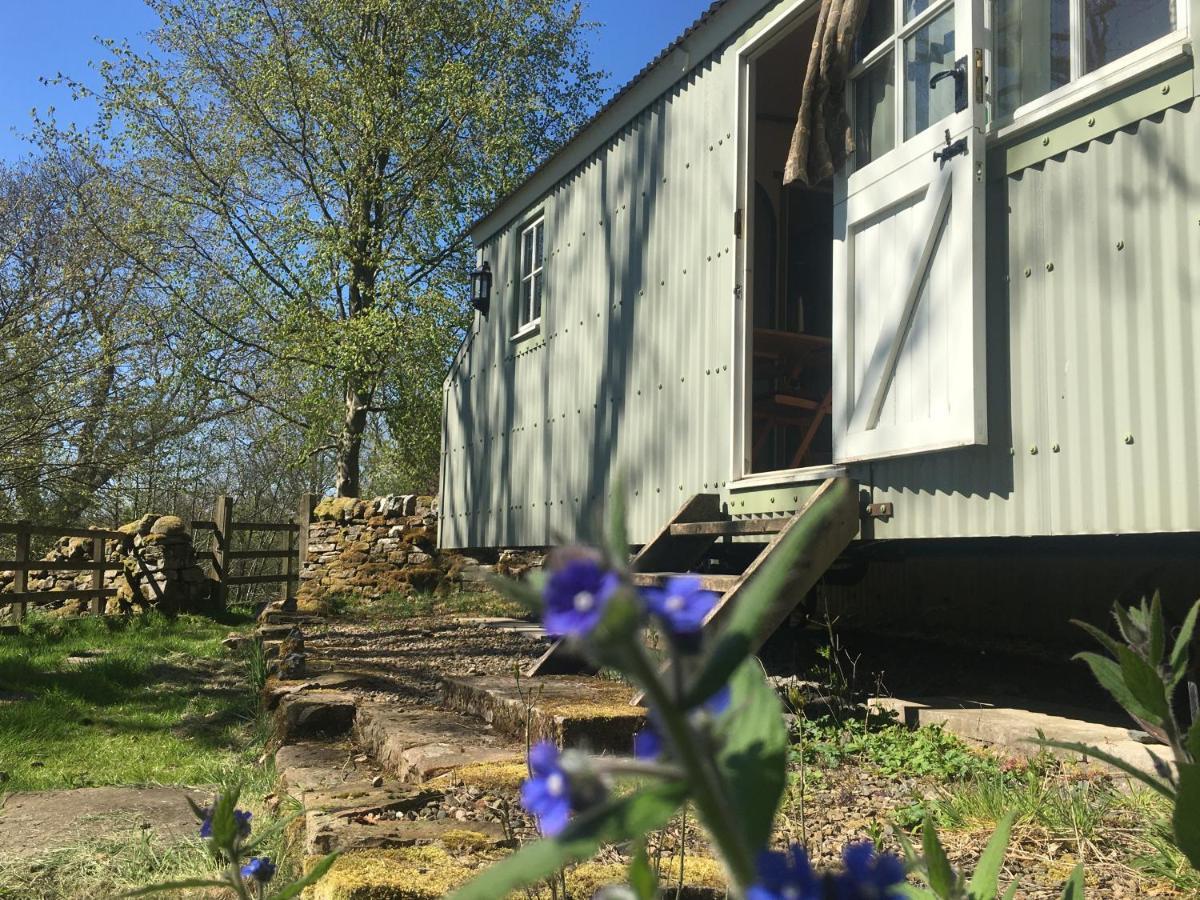 Posh Huts Farmstay Falstone 외부 사진