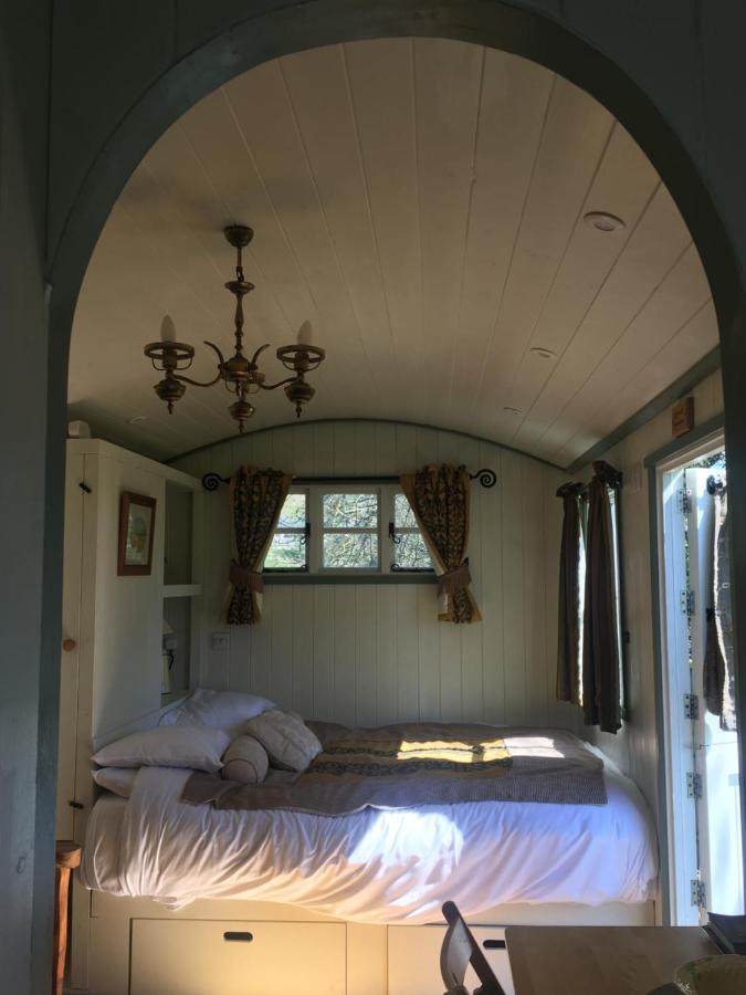 Posh Huts Farmstay Falstone 외부 사진