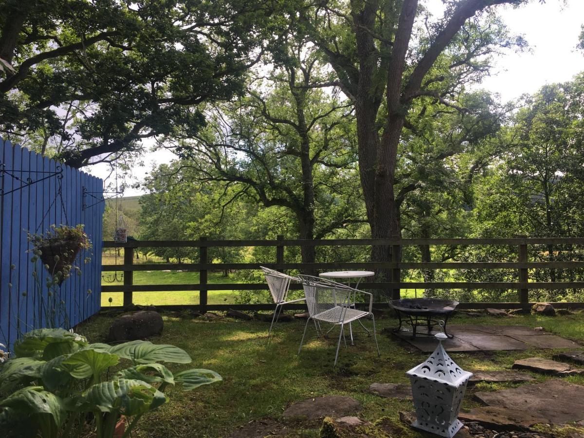 Posh Huts Farmstay Falstone 외부 사진