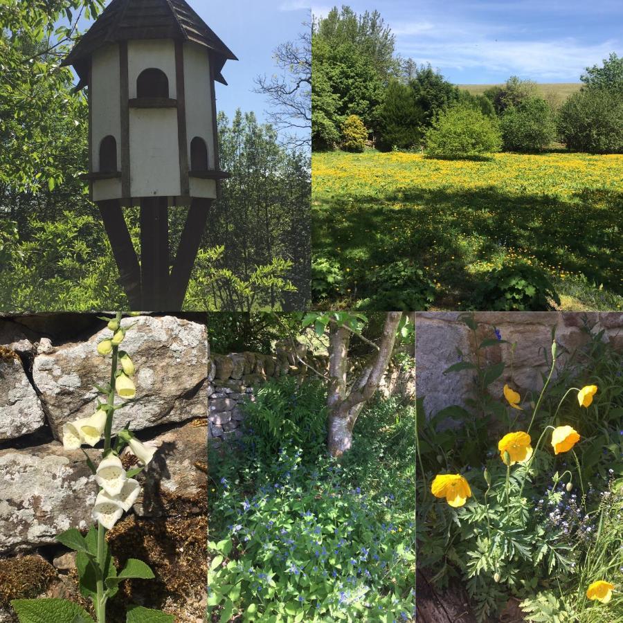 Posh Huts Farmstay Falstone 외부 사진