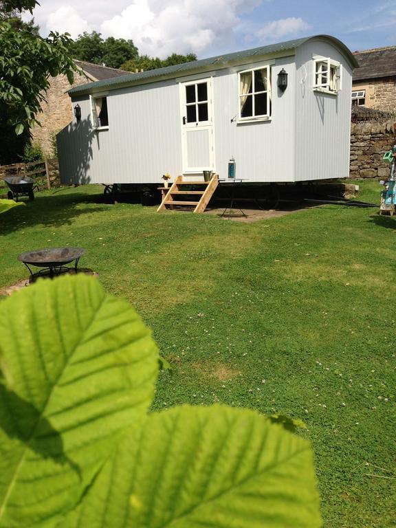 Posh Huts Farmstay Falstone 객실 사진